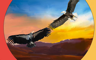 Where Condor Meets Eagle