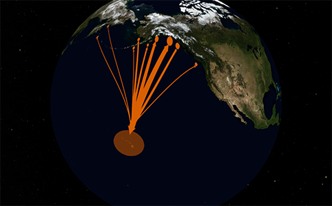 Hawaii humpback whale migration visualization