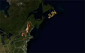 Blackpoll warbler sightings in June 2007