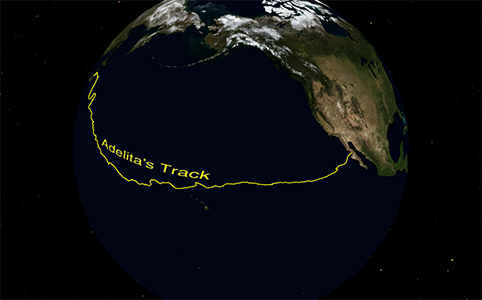 Track of Adelita, a loggerhead turtle, across the Pacific