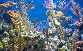 The Hidden Ocean: Visualizing the Conditions for Life