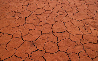 The Search for Water: Replenishing Watersheds in the Texas Drought