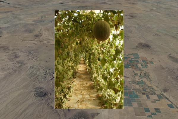 Scene 5.60, frame 3