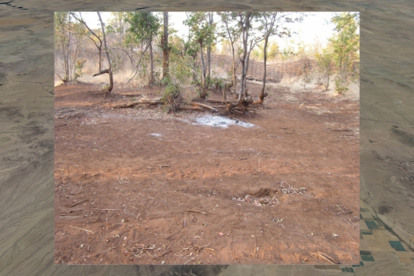 Scene 5.70, frame 2