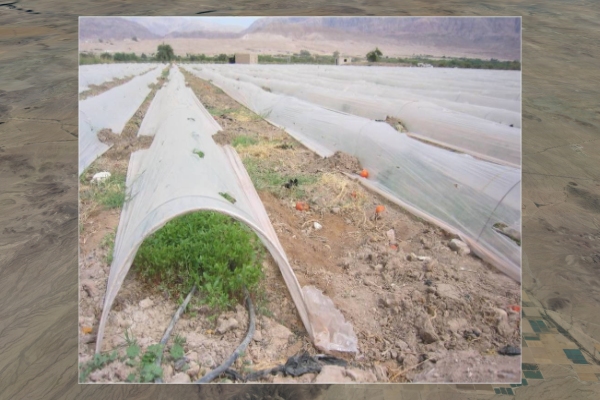 Scene 5.60, frame 2