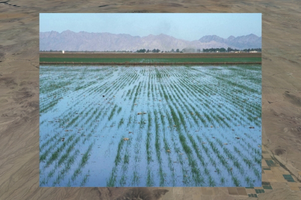 Scene 5.40, frame 1