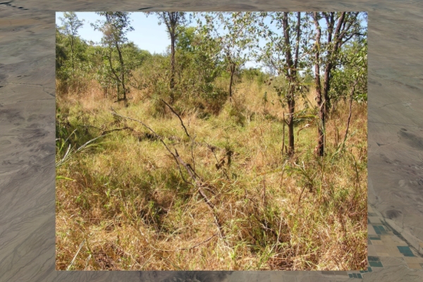 Scene 5.70, frame 3