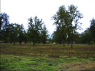 Scene VIB1, frame 8