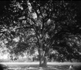 Scene 4, frame 4