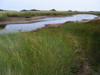 Scene 6.2.4, frame 3